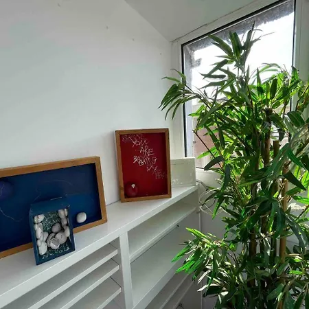 Апартаменти Apartamentu Na Playa En Xixon Cerca Del Centru Хіхон
